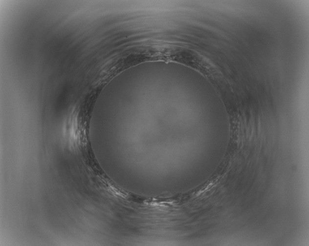 X0000062651013200512211225