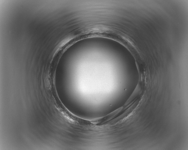 X0000062651018200512211225