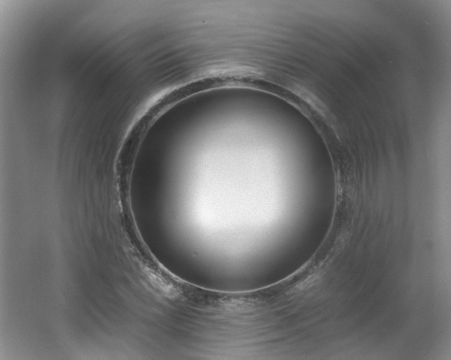 X0000062651022200512211225