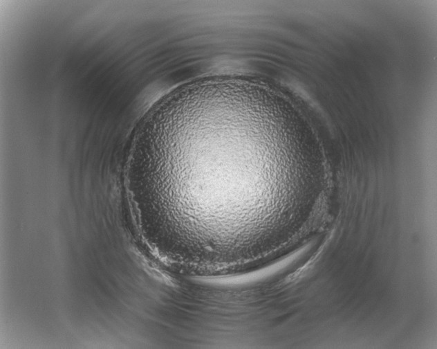 X0000062651025200512211225