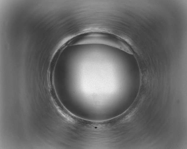 X0000062651030200512211226