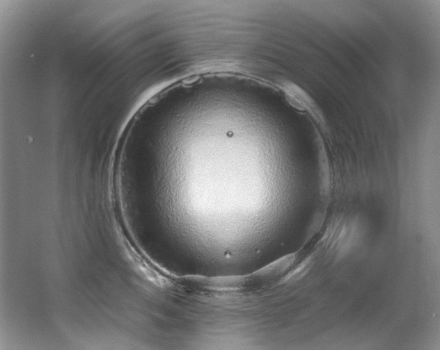 X0000062651052200512211226