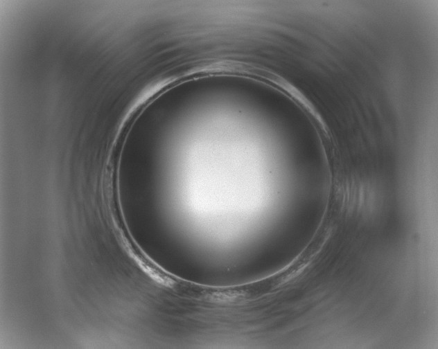 X0000062651053200512211226