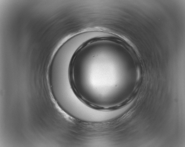 X0000062651054200512211226