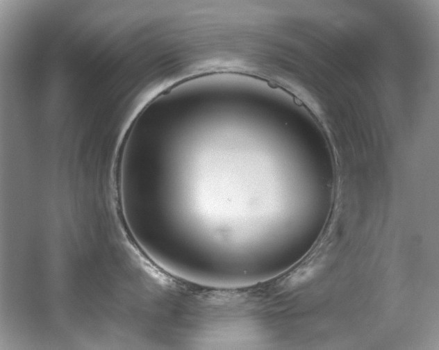 X0000062651056200512211226