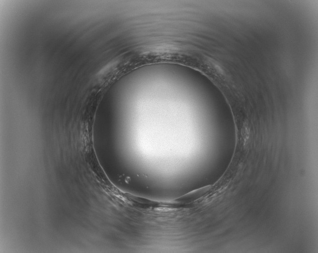 X0000062651062200512211225