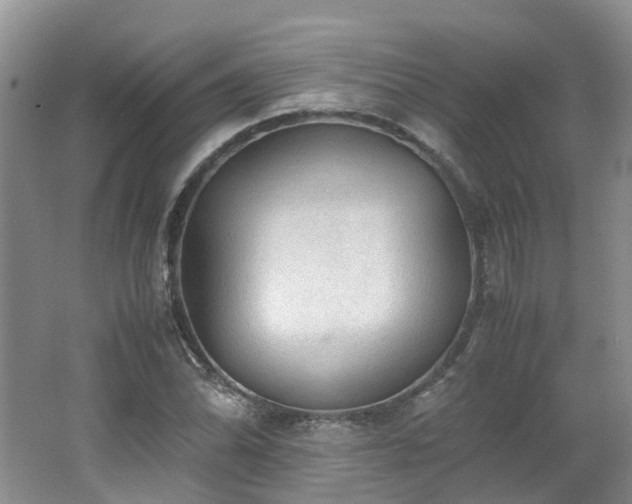 X0000062651070200512211225