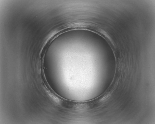 X0000062651075200512211225