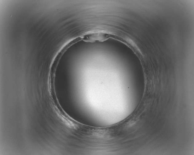 X0000062651076200512211225