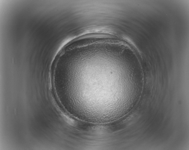 X0000062651079200512211225