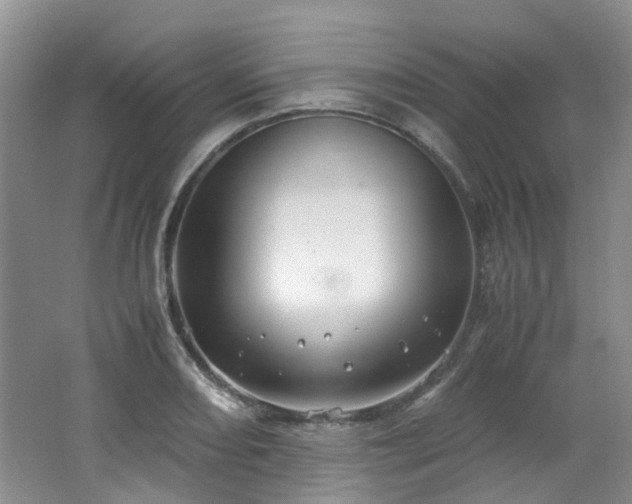 X0000062651082200512211225