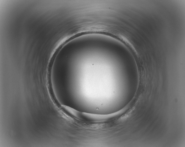 X0000062651085200512211225