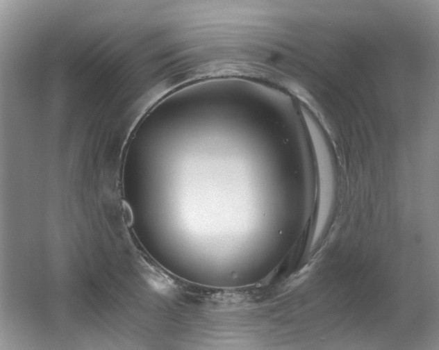 X0000062651089200512211225