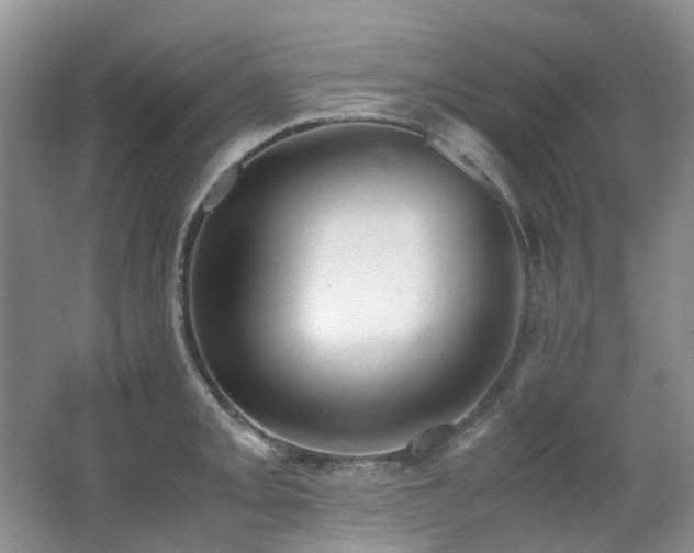 X0000062651093200512211225