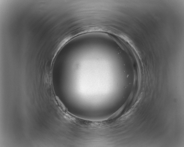 X0000062651097200512211224