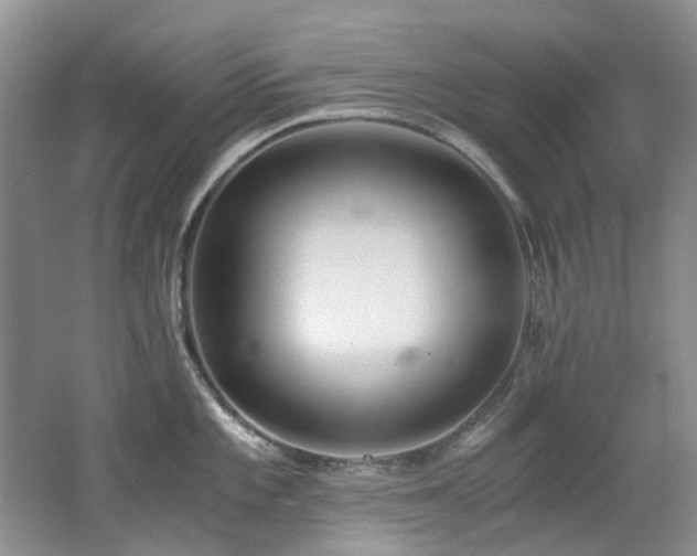 X0000062651101200512211224
