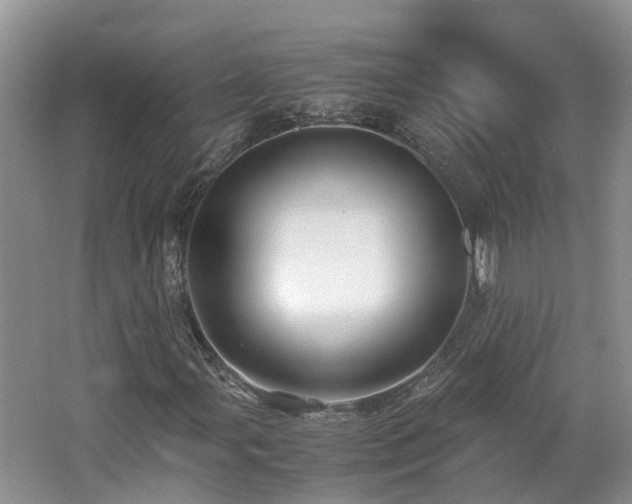 X0000062651107200512211224