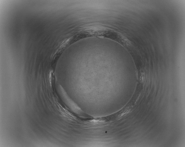X0000062651108200512211224