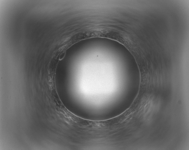 X0000062651109200512211224
