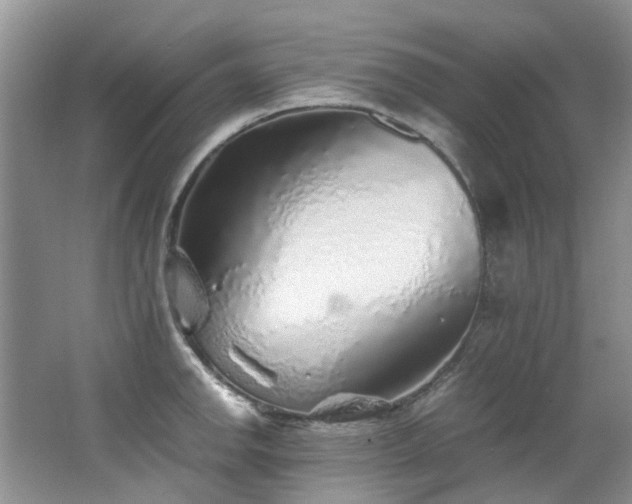 X0000062651142200512211224