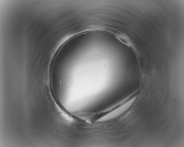X0000062651143200512211224