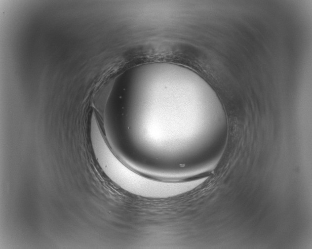 X0000062651153200512211223