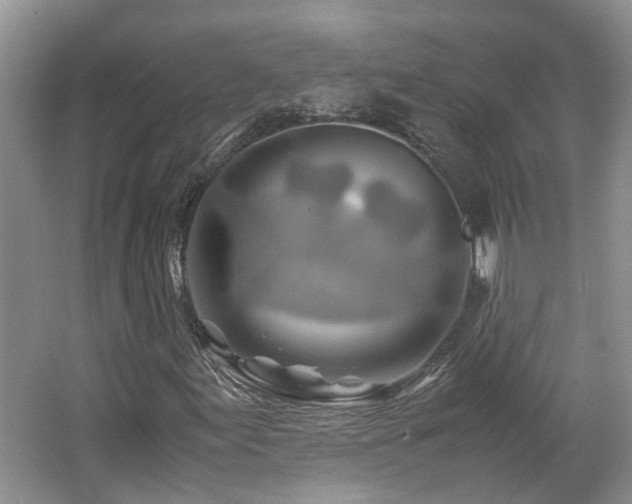 X0000062651155200512211223