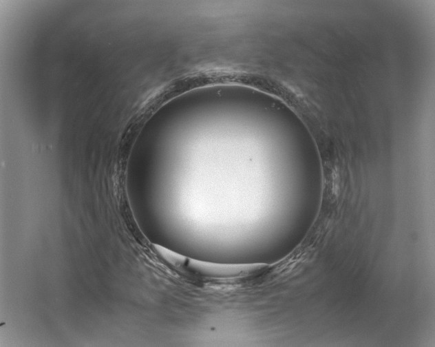 X0000062651157200512211223