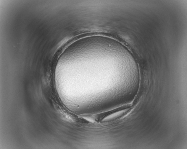 X0000062651163200512211223