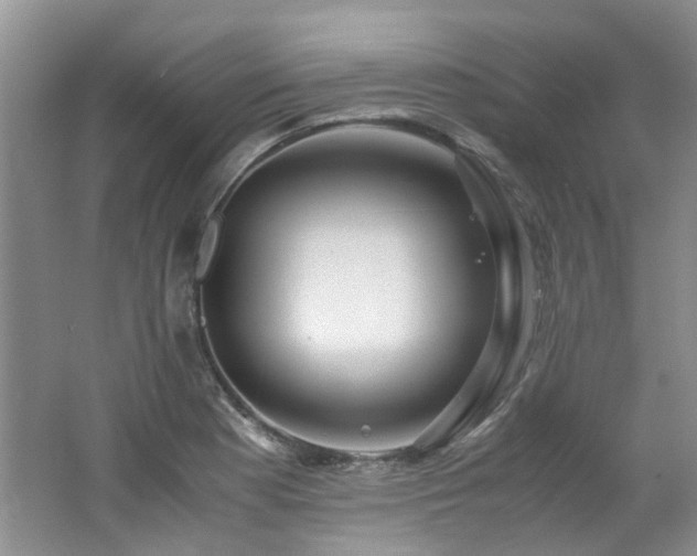 X0000062651177200512211223