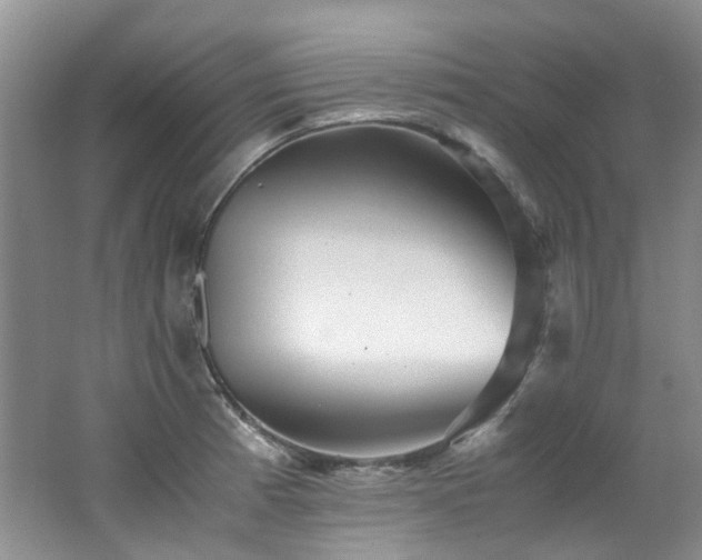 X0000062651185200512211223