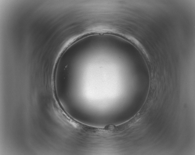 X0000062651191200512211223