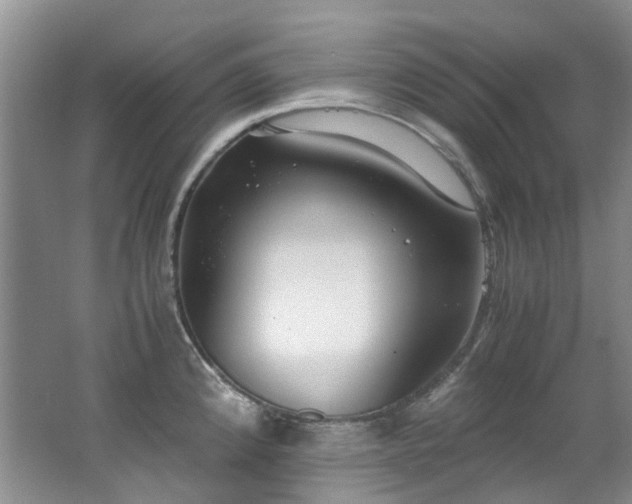 X0000062651192200512211223