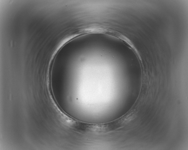 X0000062651195200512211223