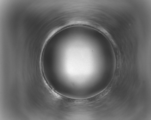 X0000062651199200512211223