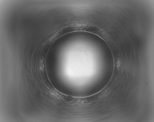 X0000062651204200512211222