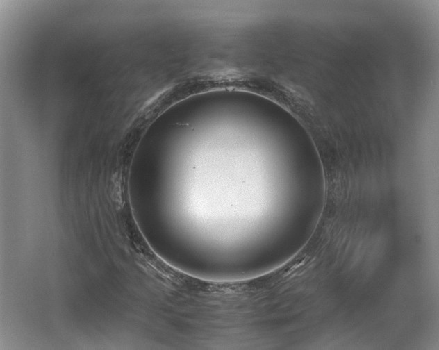 X0000062651205200512211222