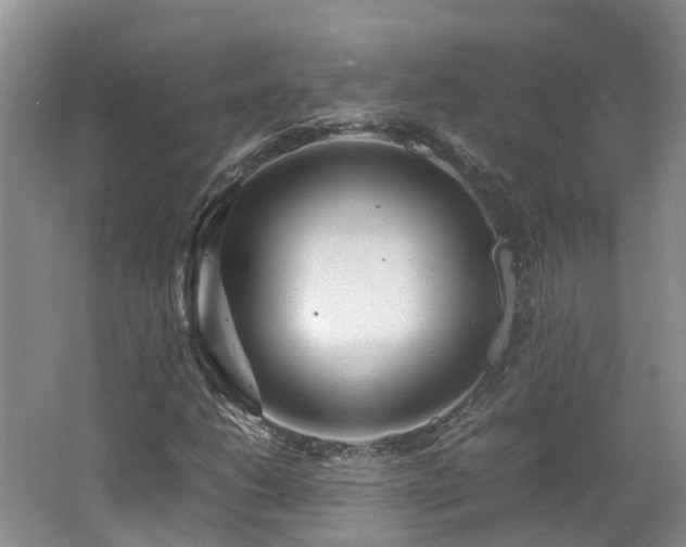 X0000062651206200512211222