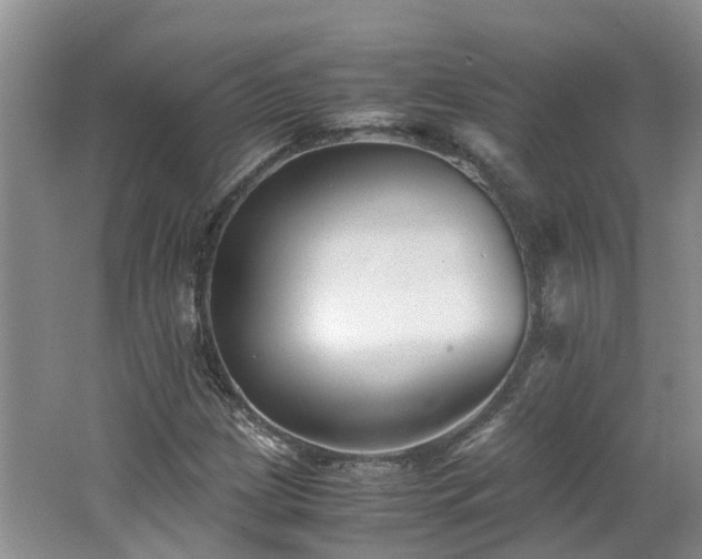 X0000062651209200512211222