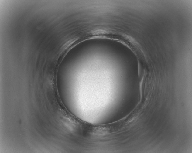 X0000062651217200512211222