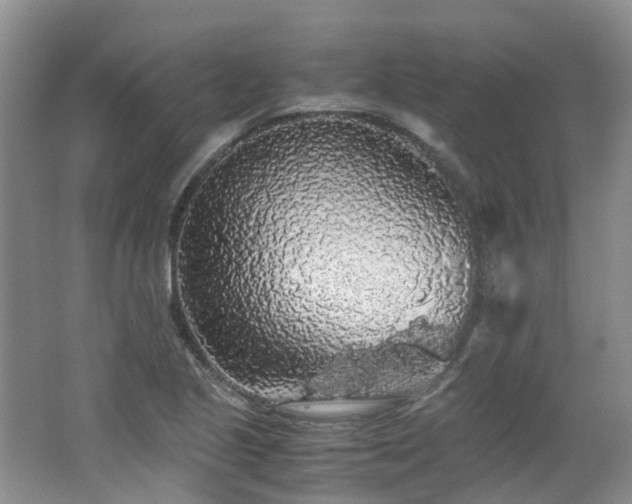 X0000062651221200512211222