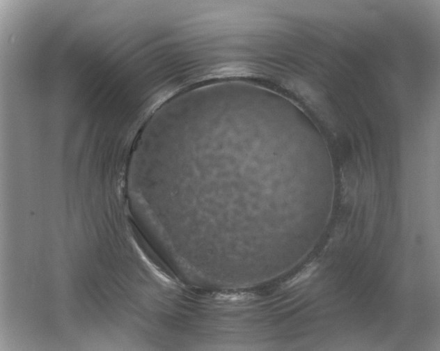 X0000062651225200512211222