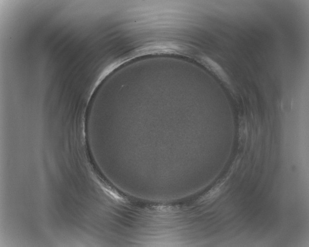 X0000062651226200512211222