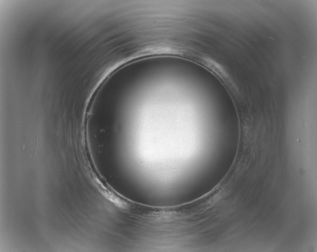 X0000062651236200512211222
