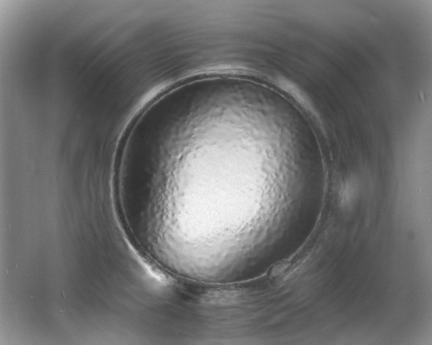 X0000062651237200512211222