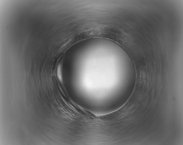 X0000062651250200512211222