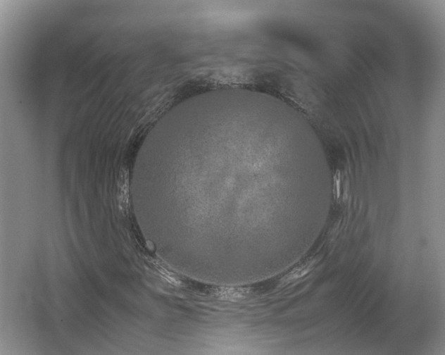 X0000062651251200512211222