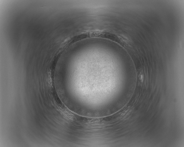 X0000062651252200512211222