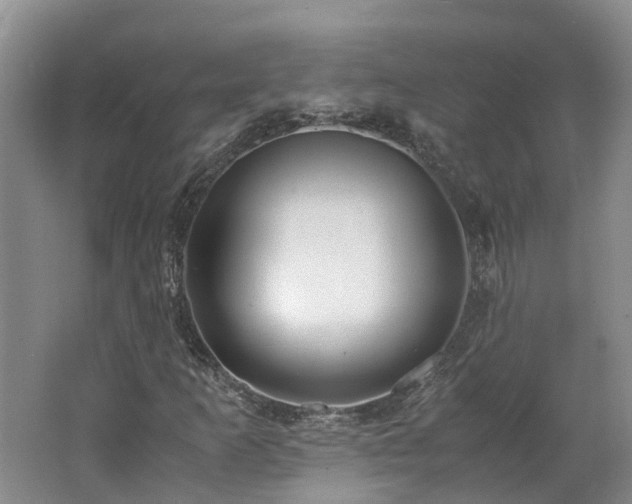 X0000062651253200512211222