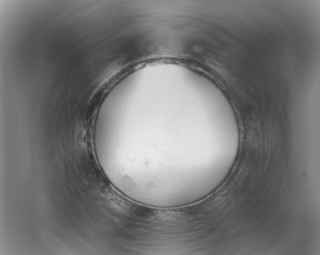 X0000062651258200512211222
